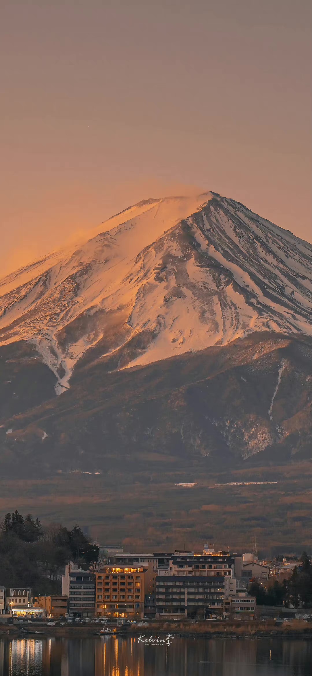 丛丛相亲交友平台