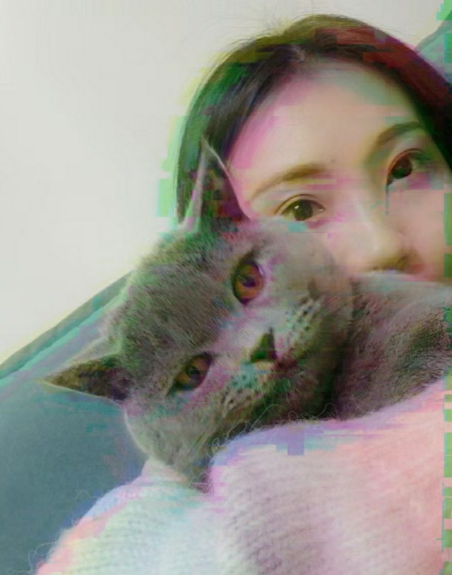 丛丛相亲交友平台