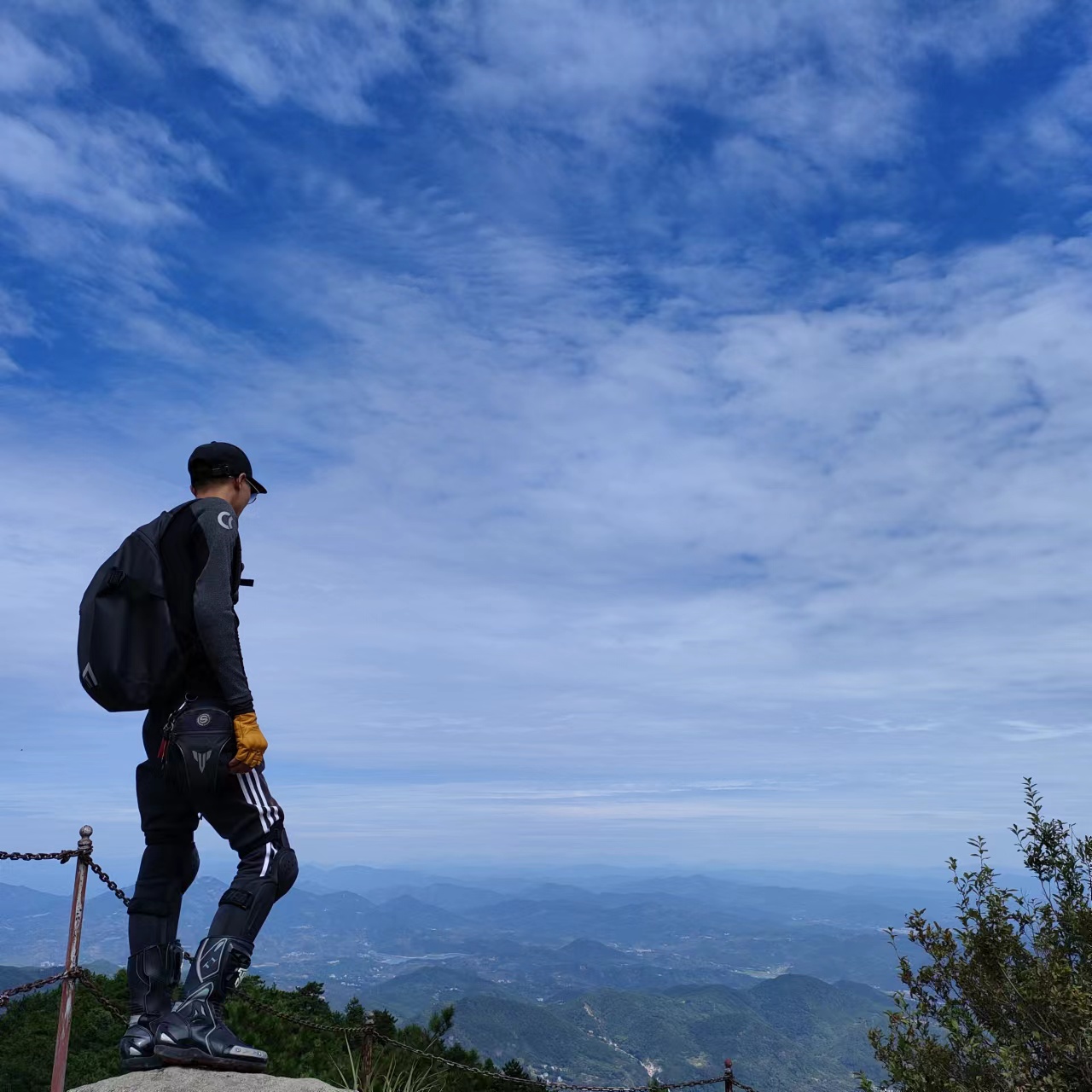 丛丛相亲交友平台