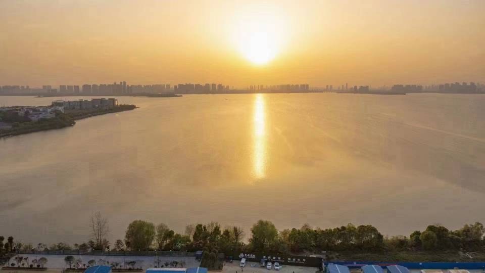 丛丛相亲交友平台