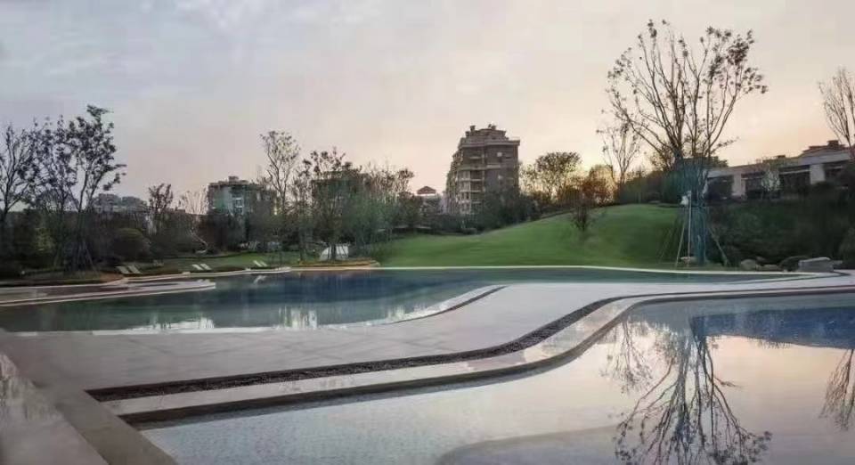 丛丛相亲交友平台