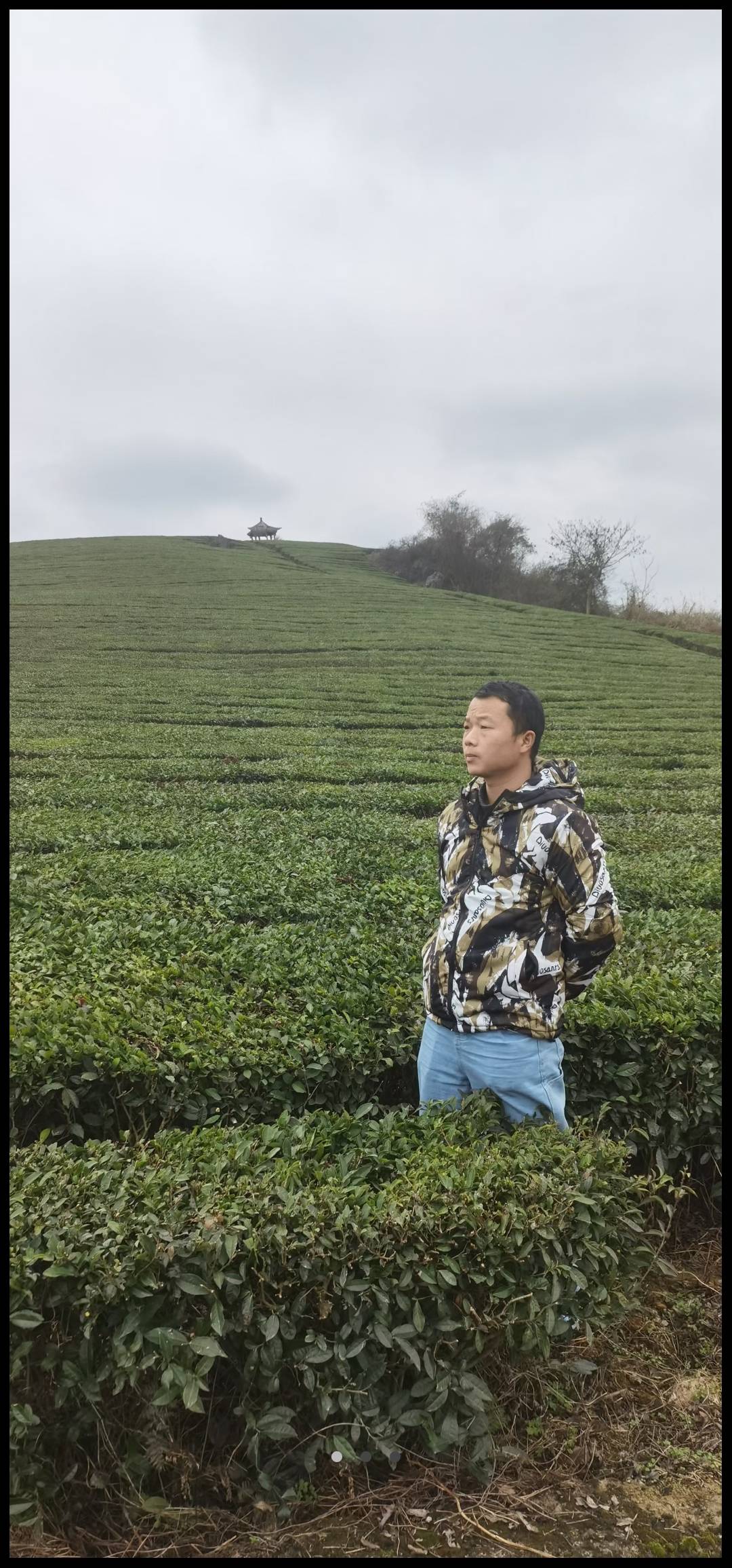 丛丛相亲交友平台