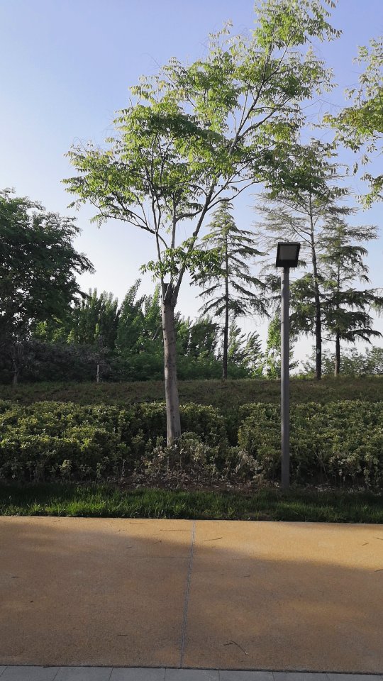找搭子
