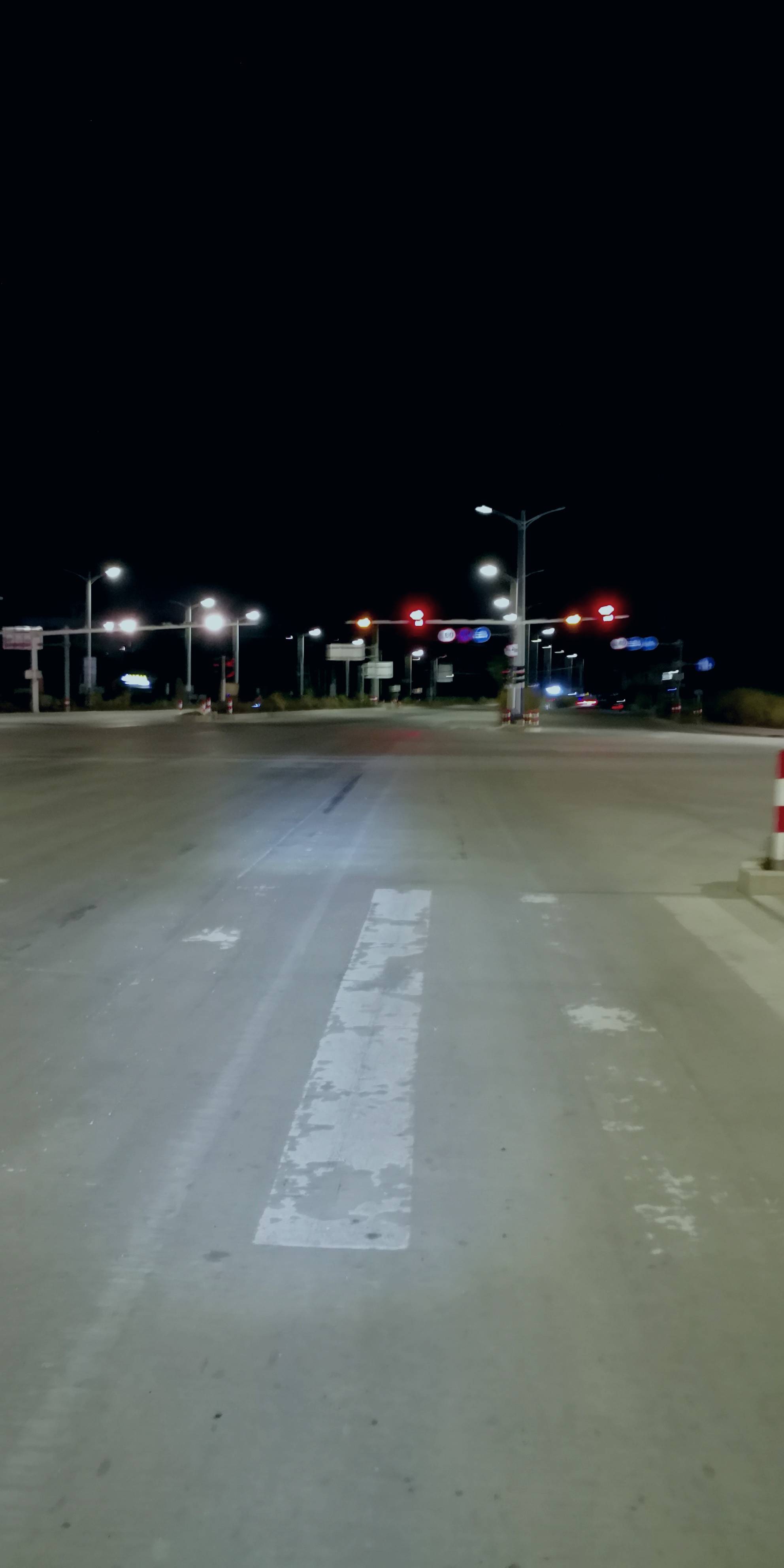 丛丛相亲交友平台