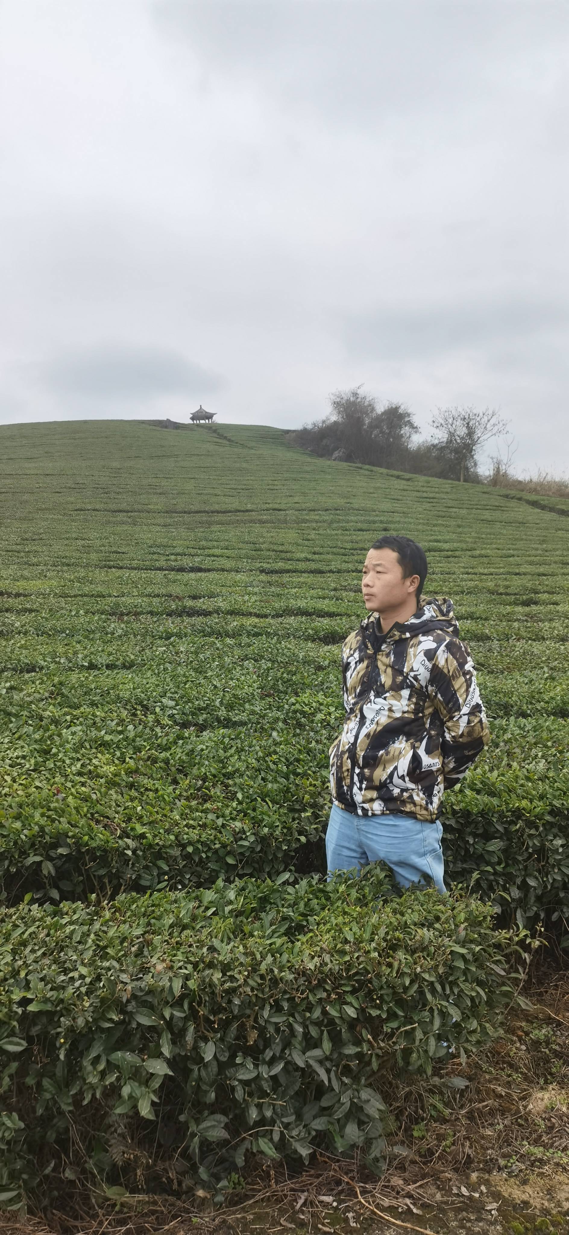 丛丛相亲交友平台