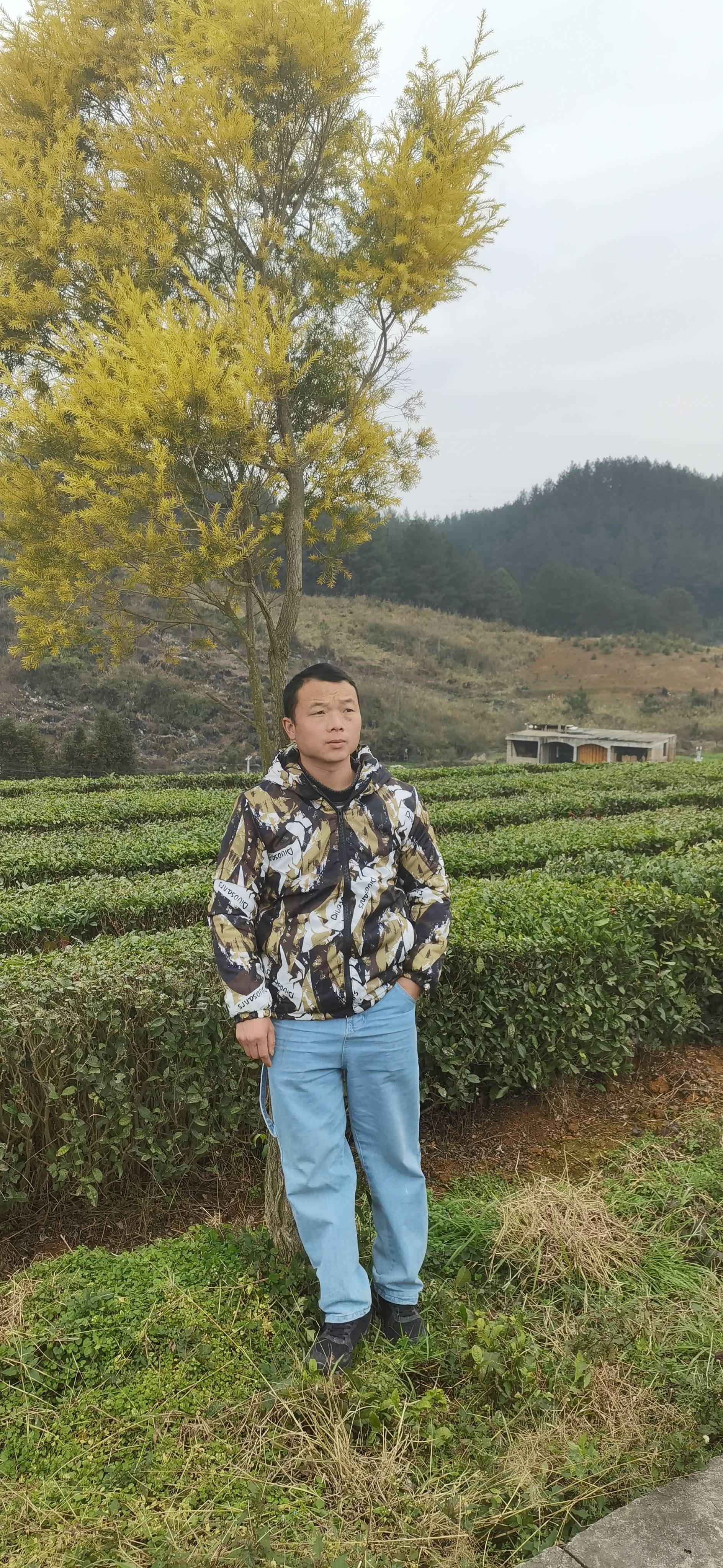 丛丛相亲交友平台