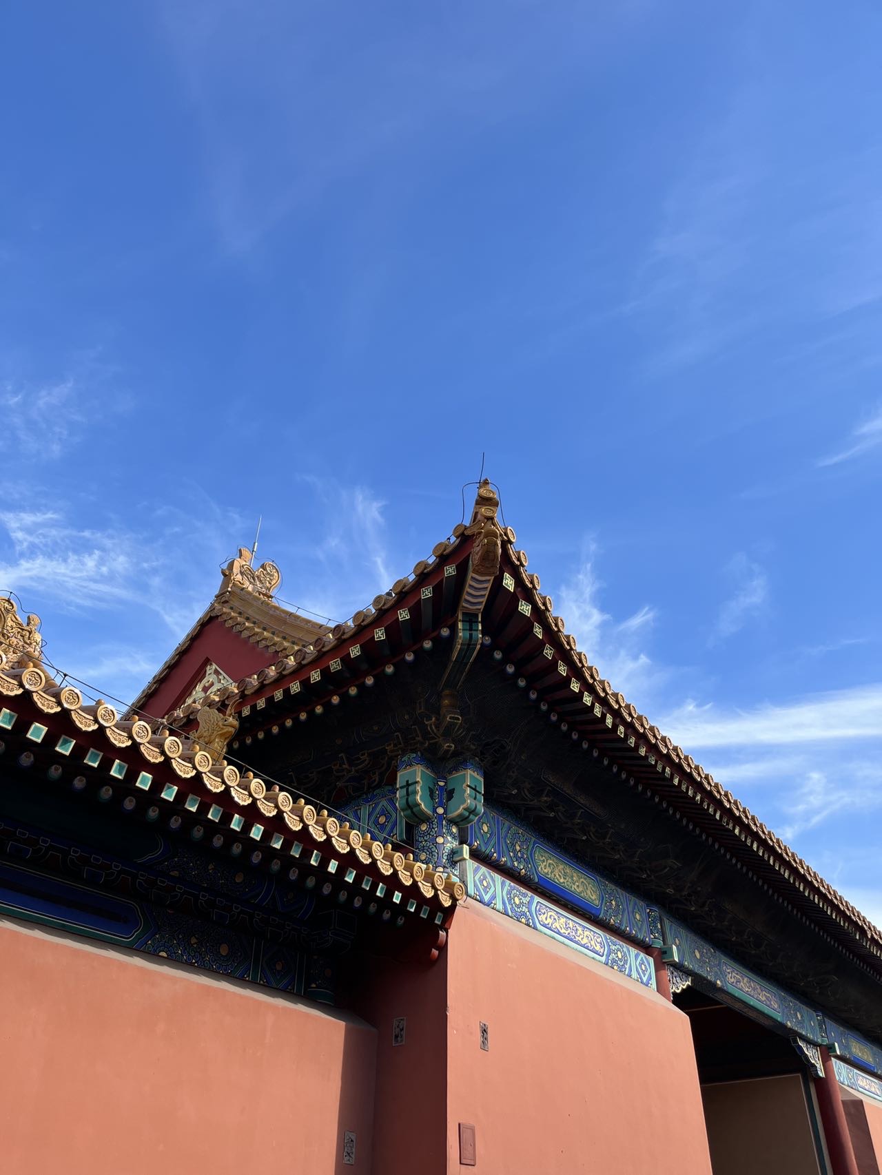 丛丛相亲交友平台