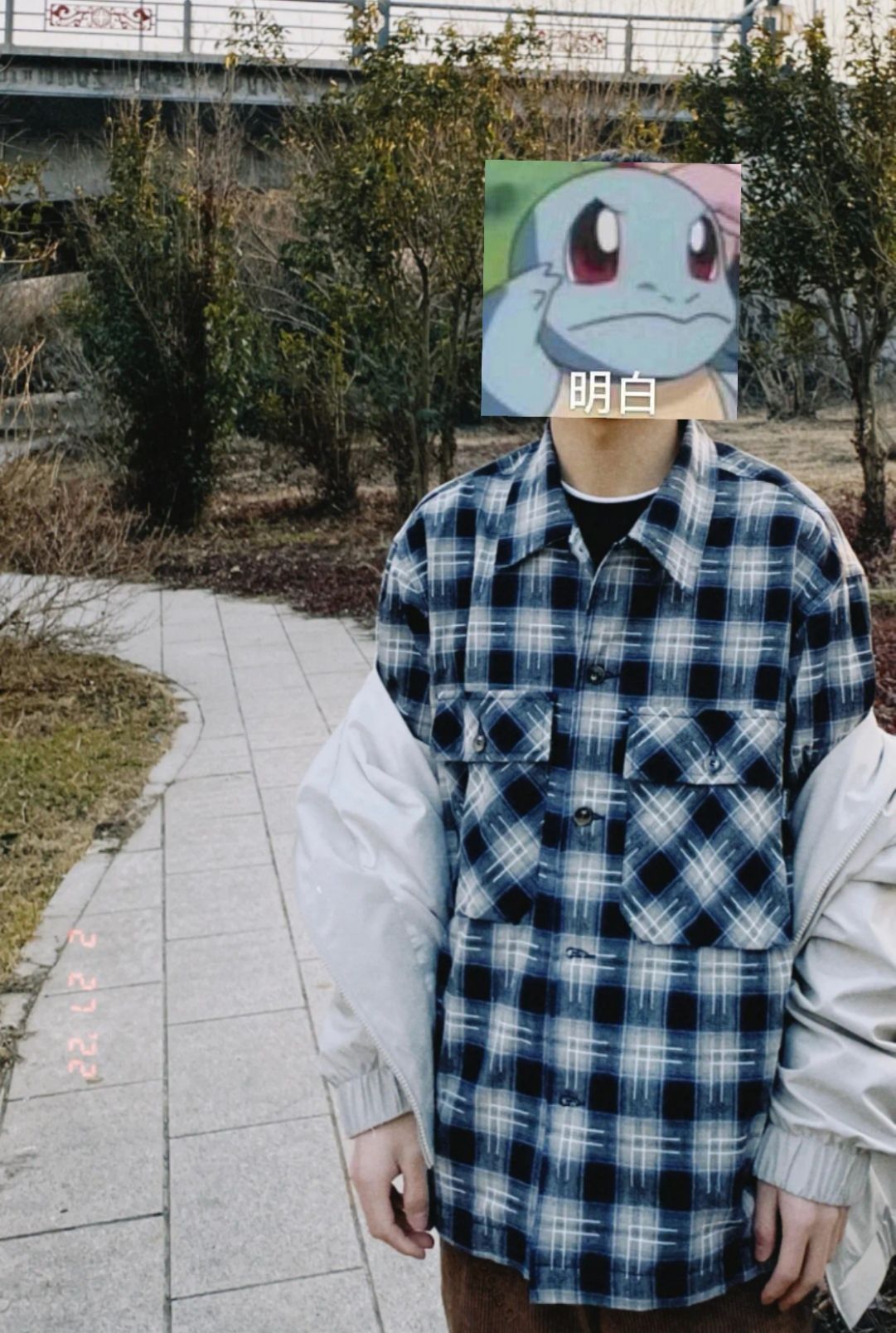 丛丛相亲交友平台