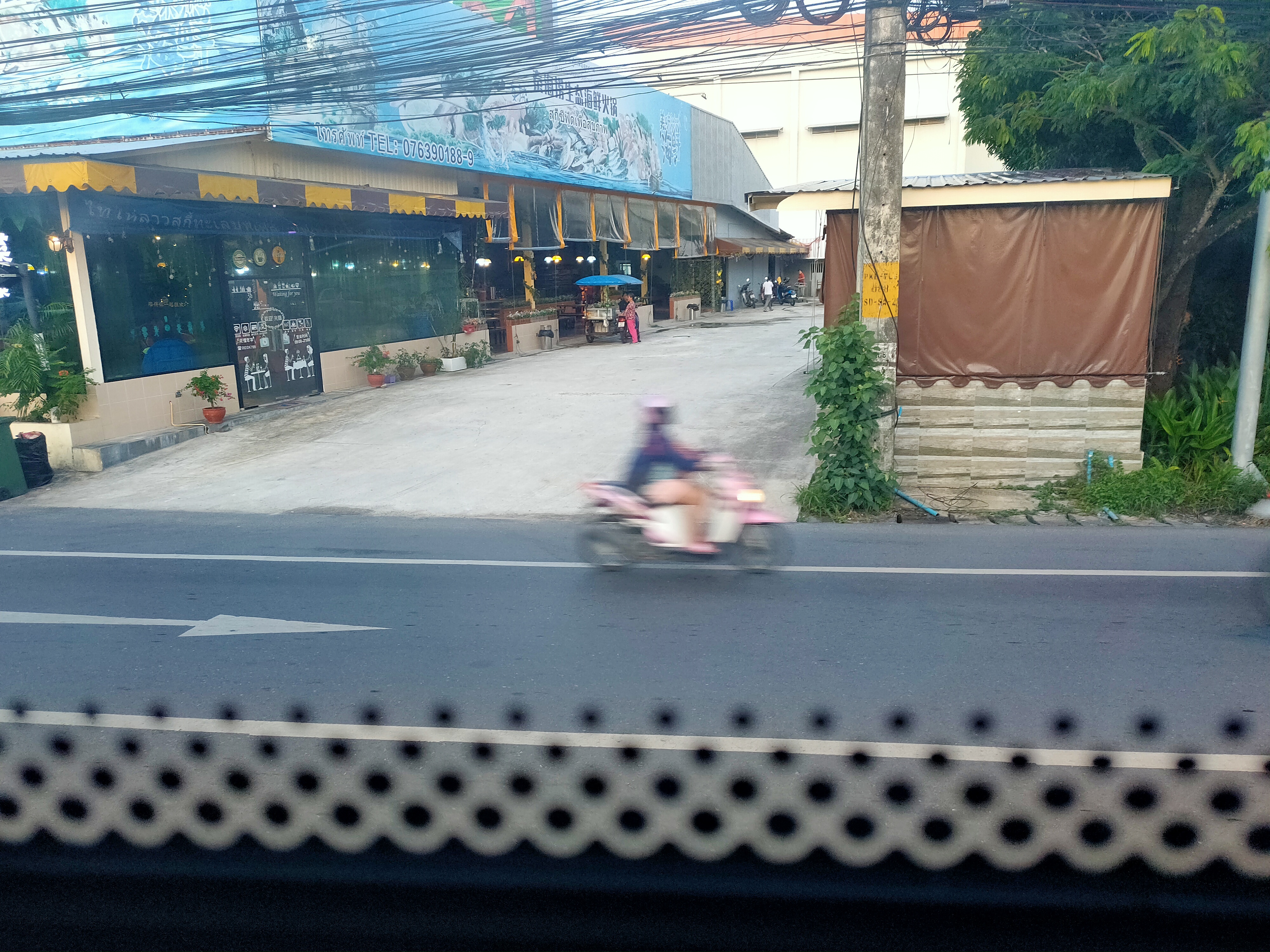 丛丛相亲交友平台