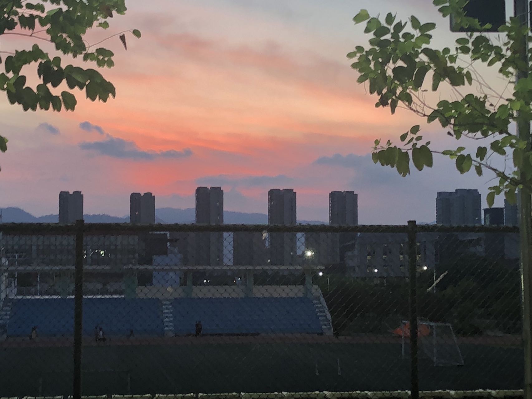 丛丛相亲交友平台