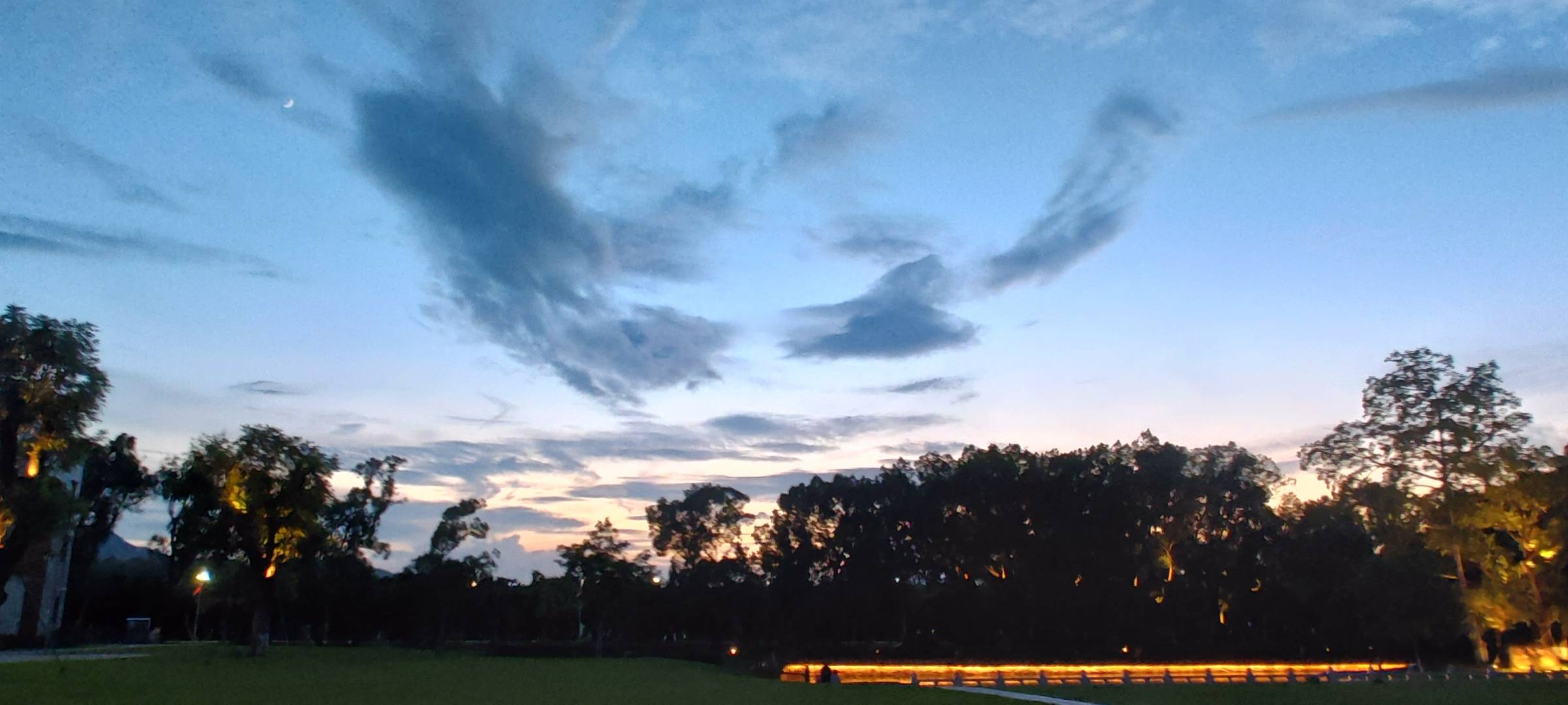 丛丛相亲交友平台