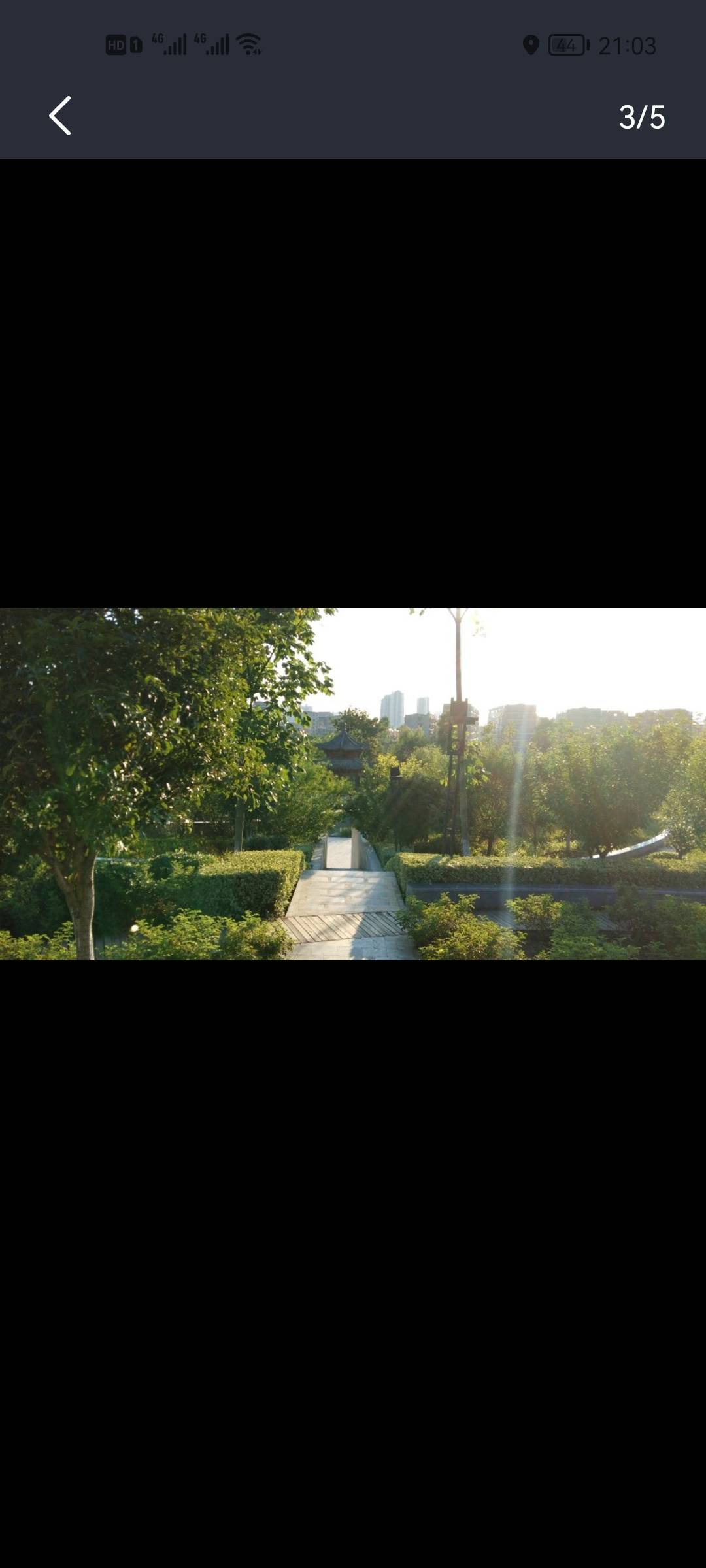 丛丛相亲交友平台