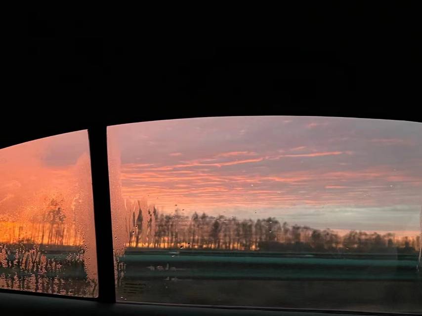 丛丛相亲交友平台