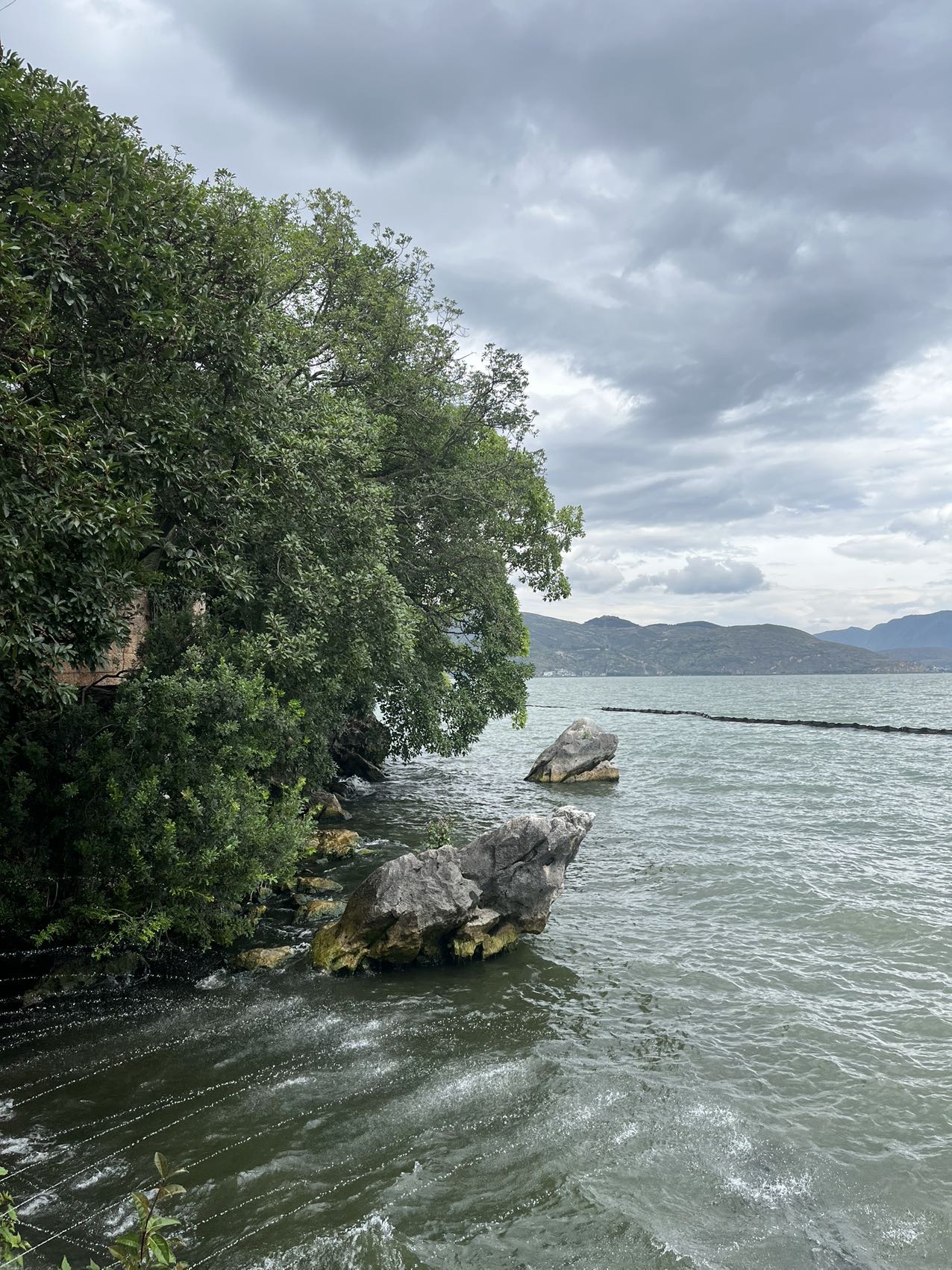 丛丛相亲交友平台