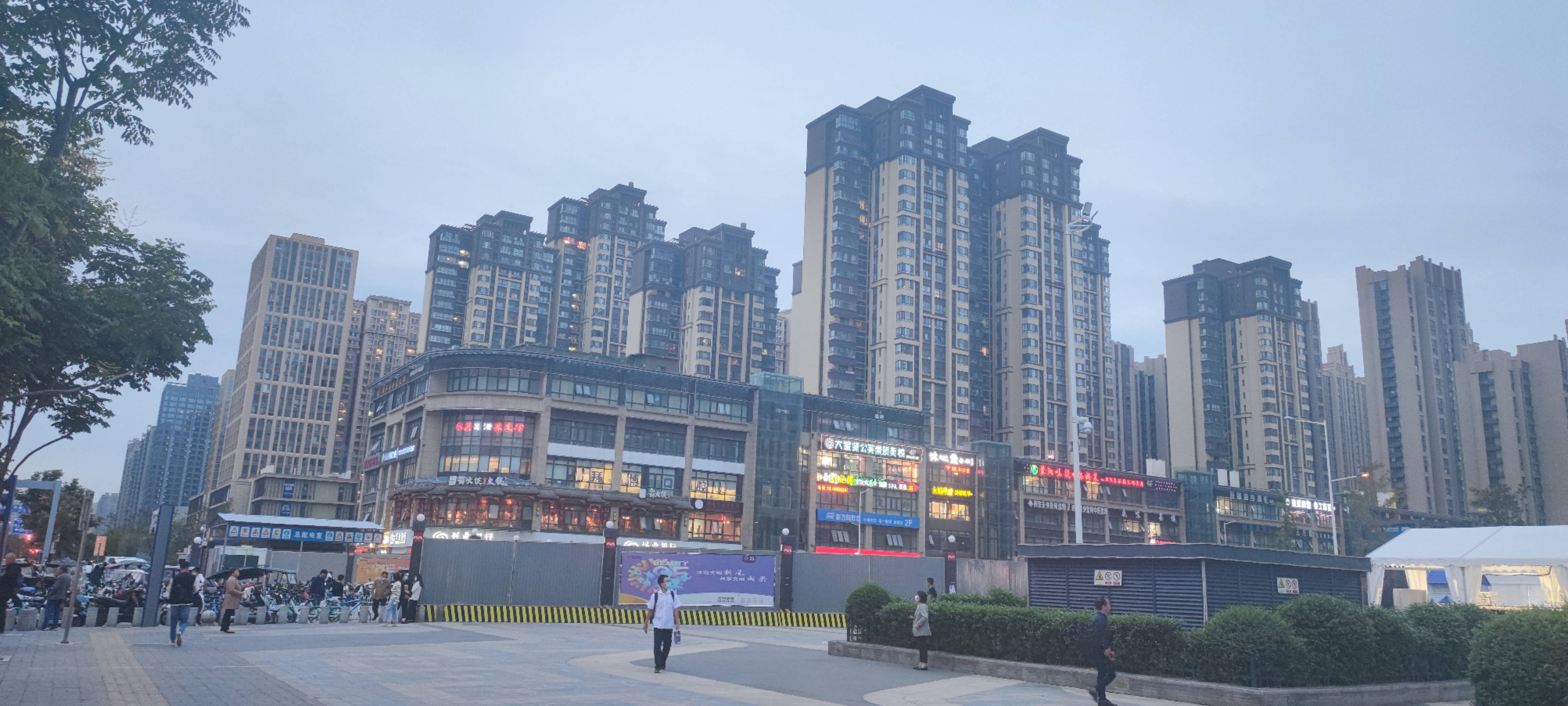 丛丛相亲交友平台