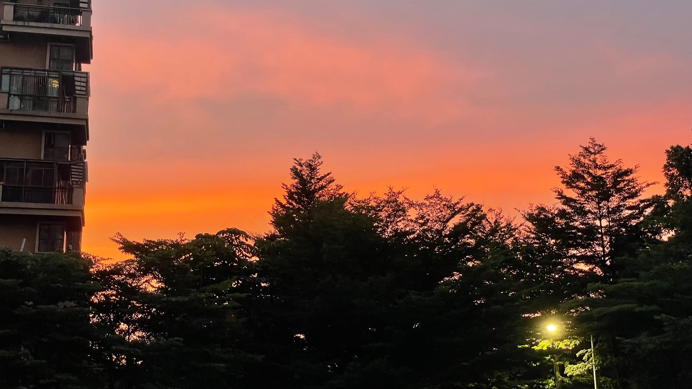 丛丛相亲交友平台