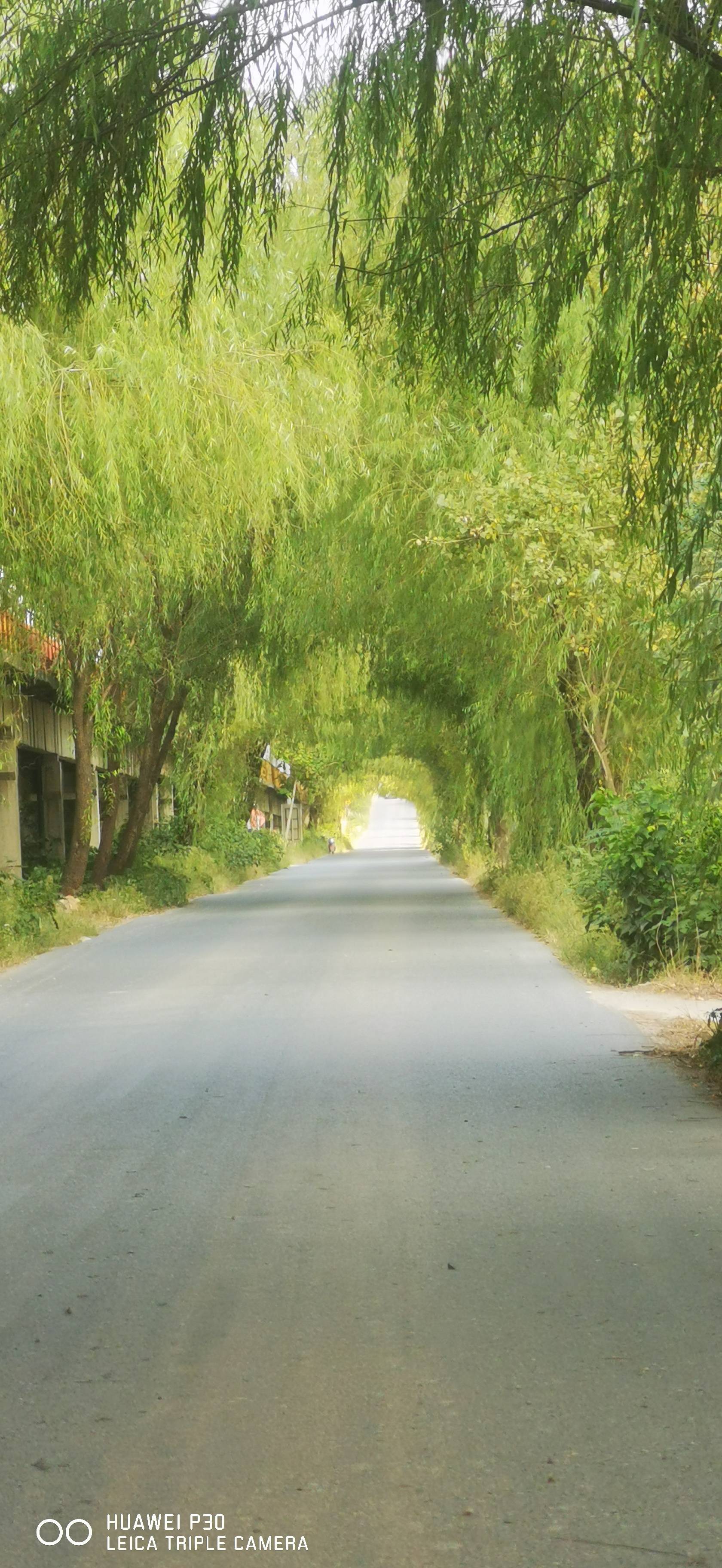 丛丛相亲交友平台