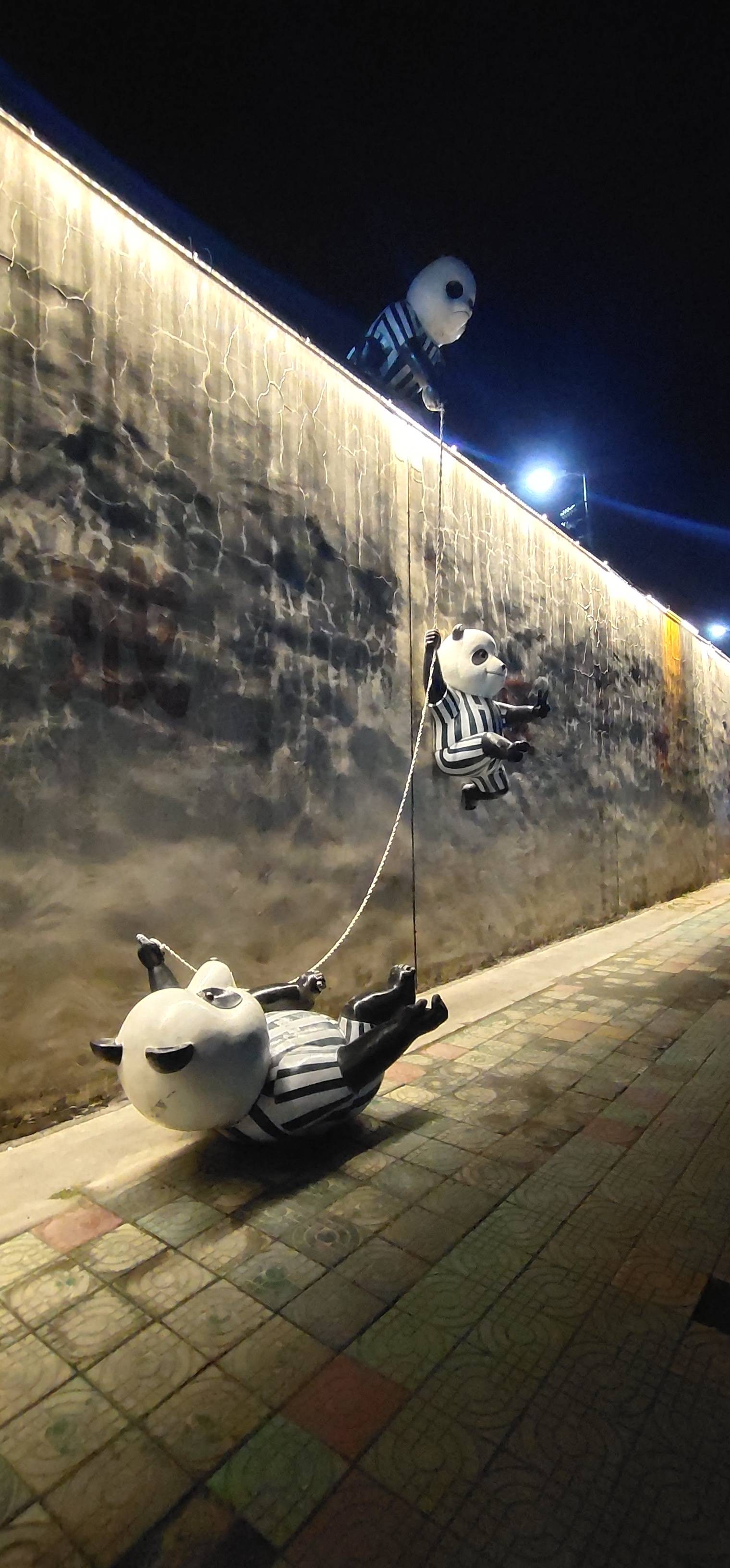 丛丛相亲交友平台