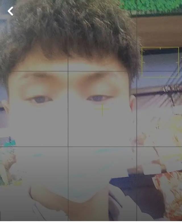 丛丛相亲交友平台