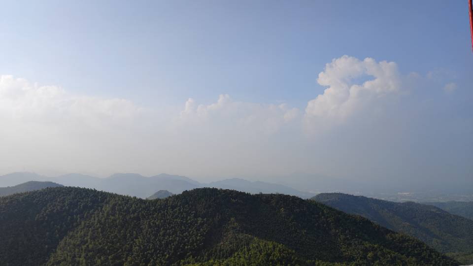 丛丛相亲交友平台