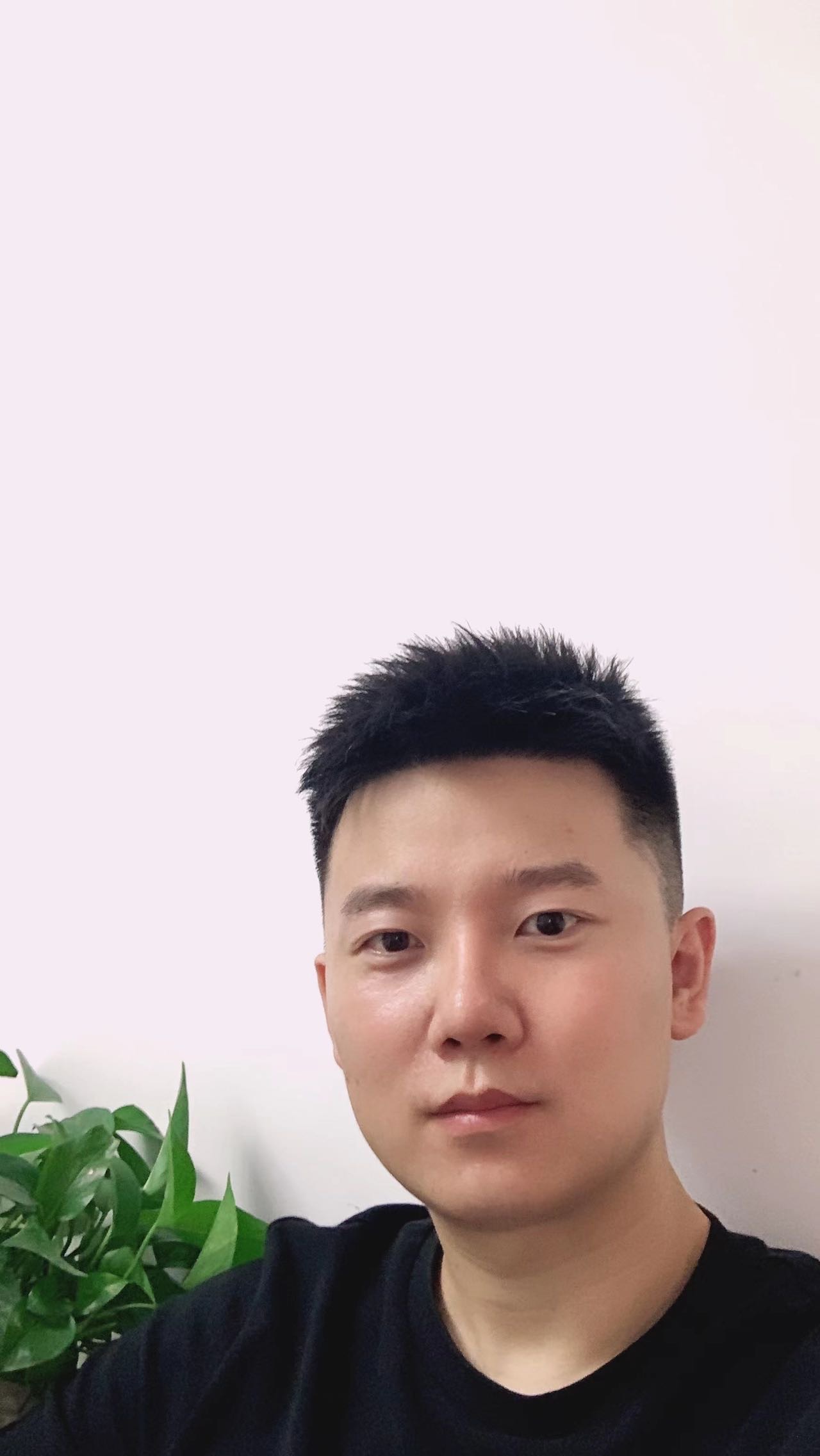 丛丛相亲交友平台