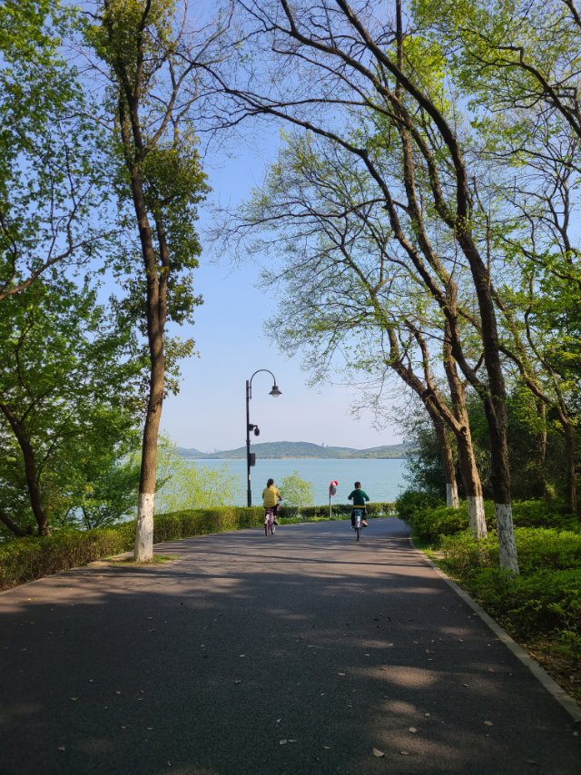 丛丛相亲交友平台