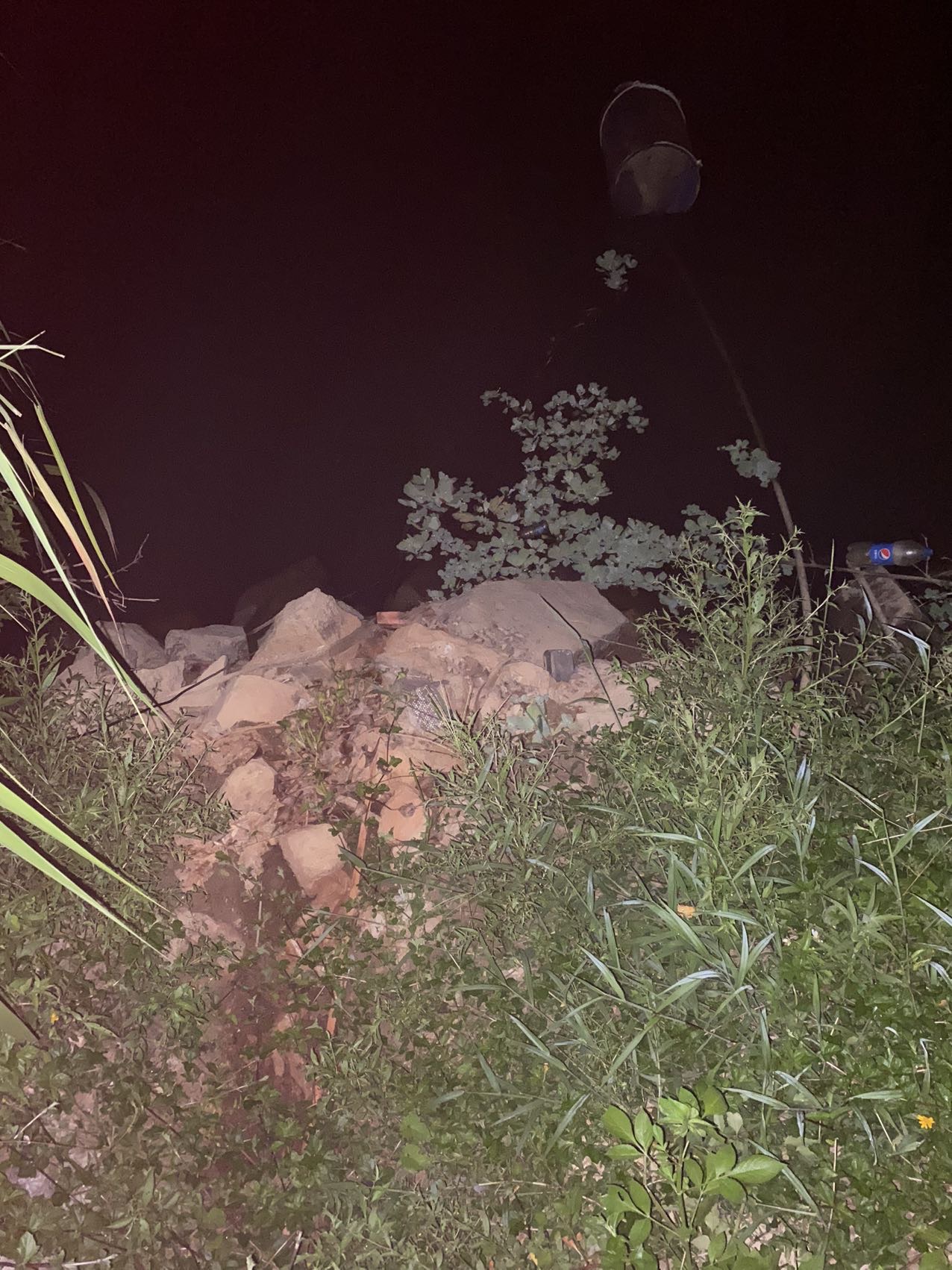 丛丛相亲交友平台