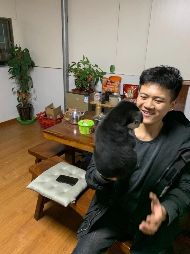 丛丛相亲交友平台