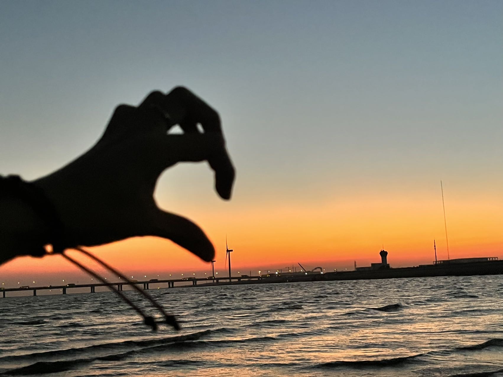 丛丛相亲交友平台