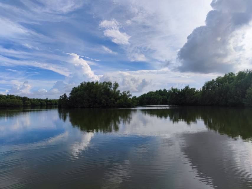 丛丛相亲交友平台