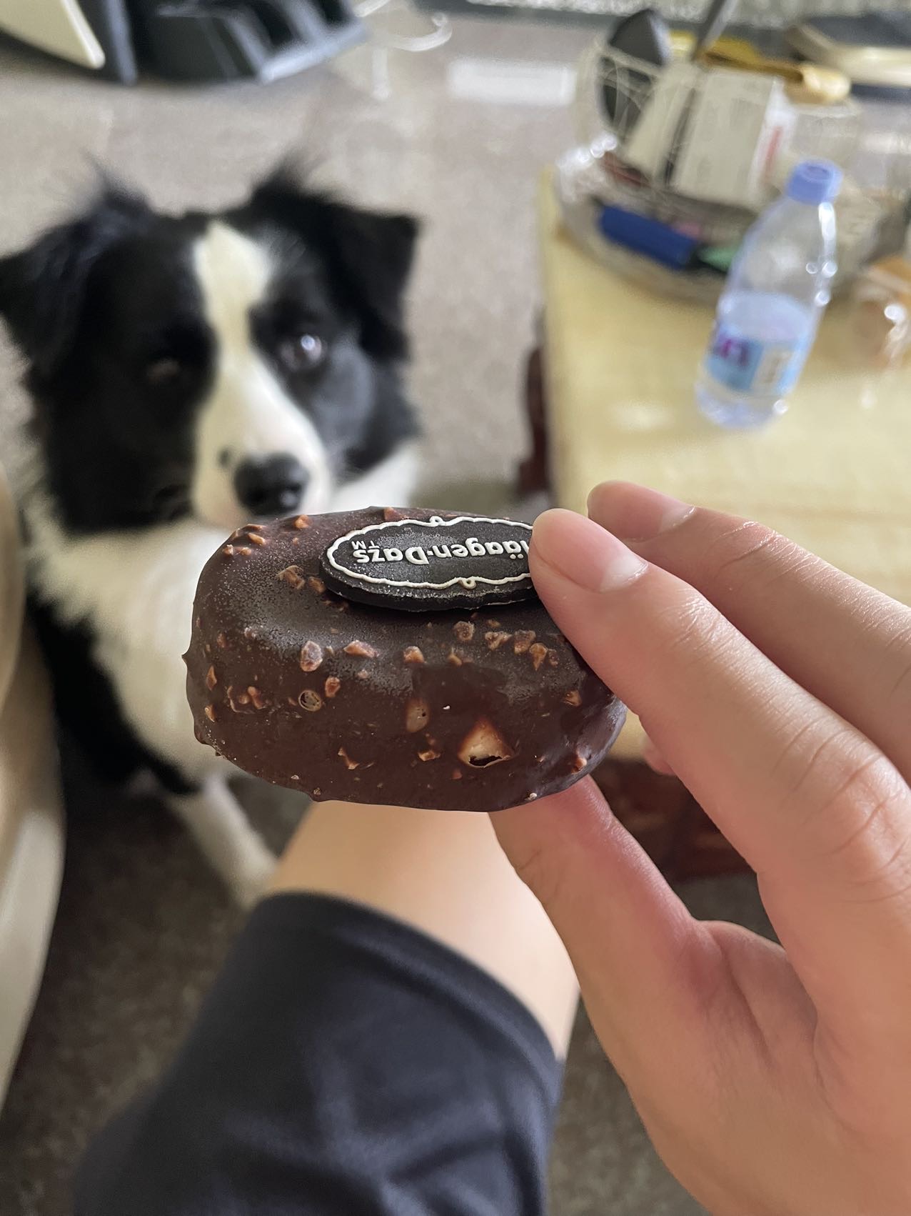 丛丛相亲交友平台