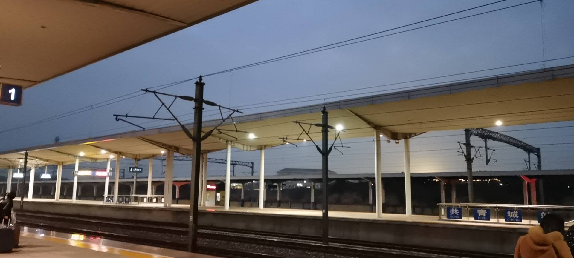 丛丛相亲交友平台