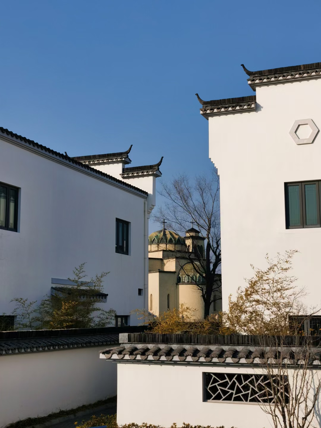 丛丛相亲交友平台