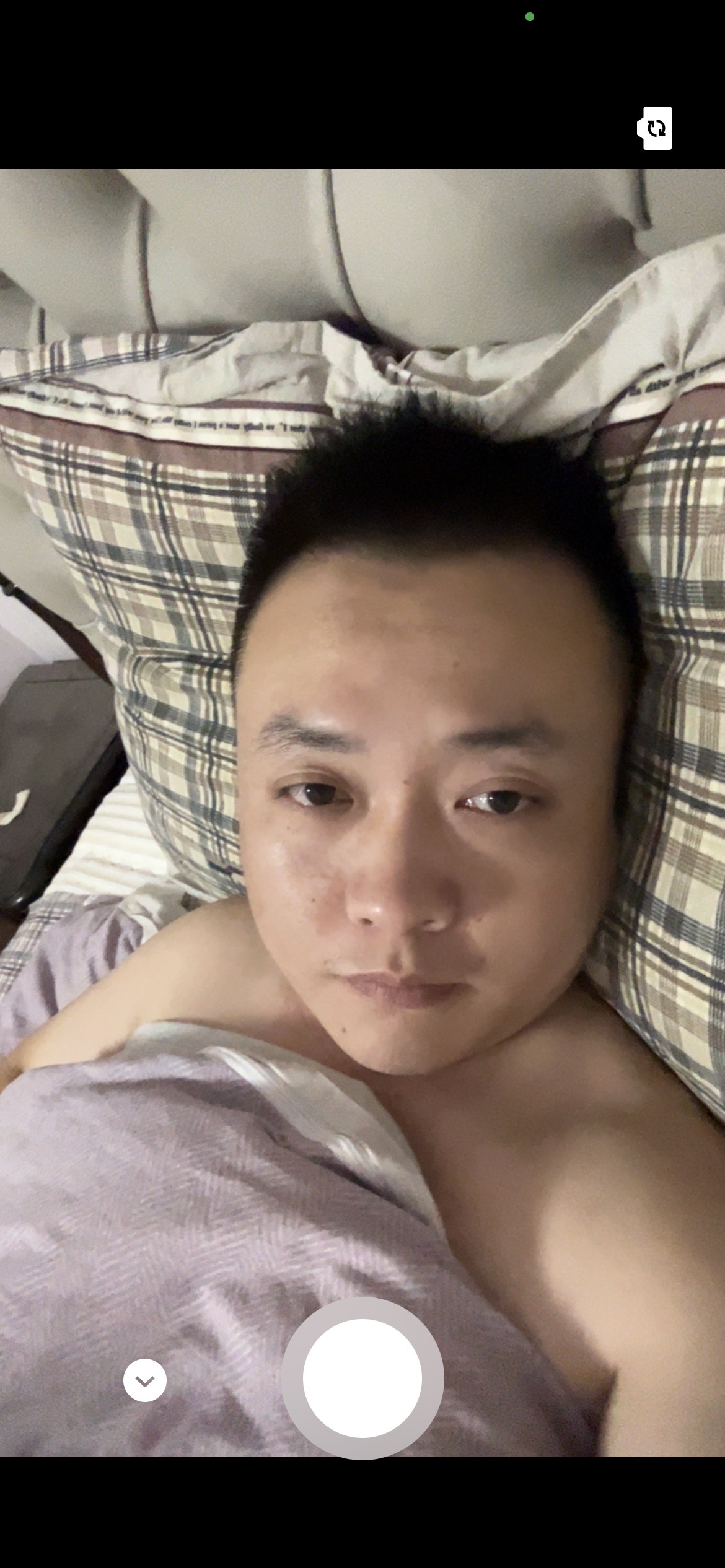 丛丛相亲交友平台