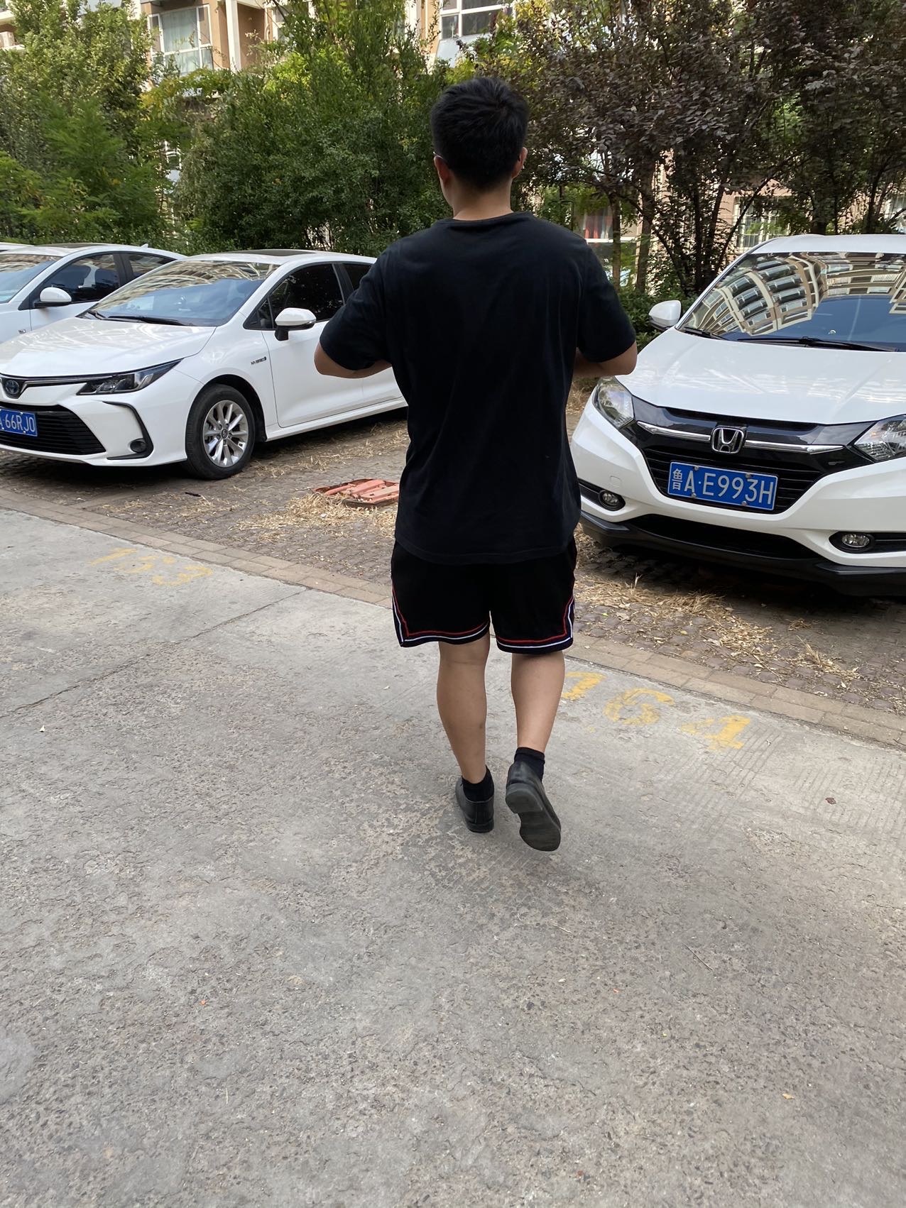 丛丛相亲交友平台