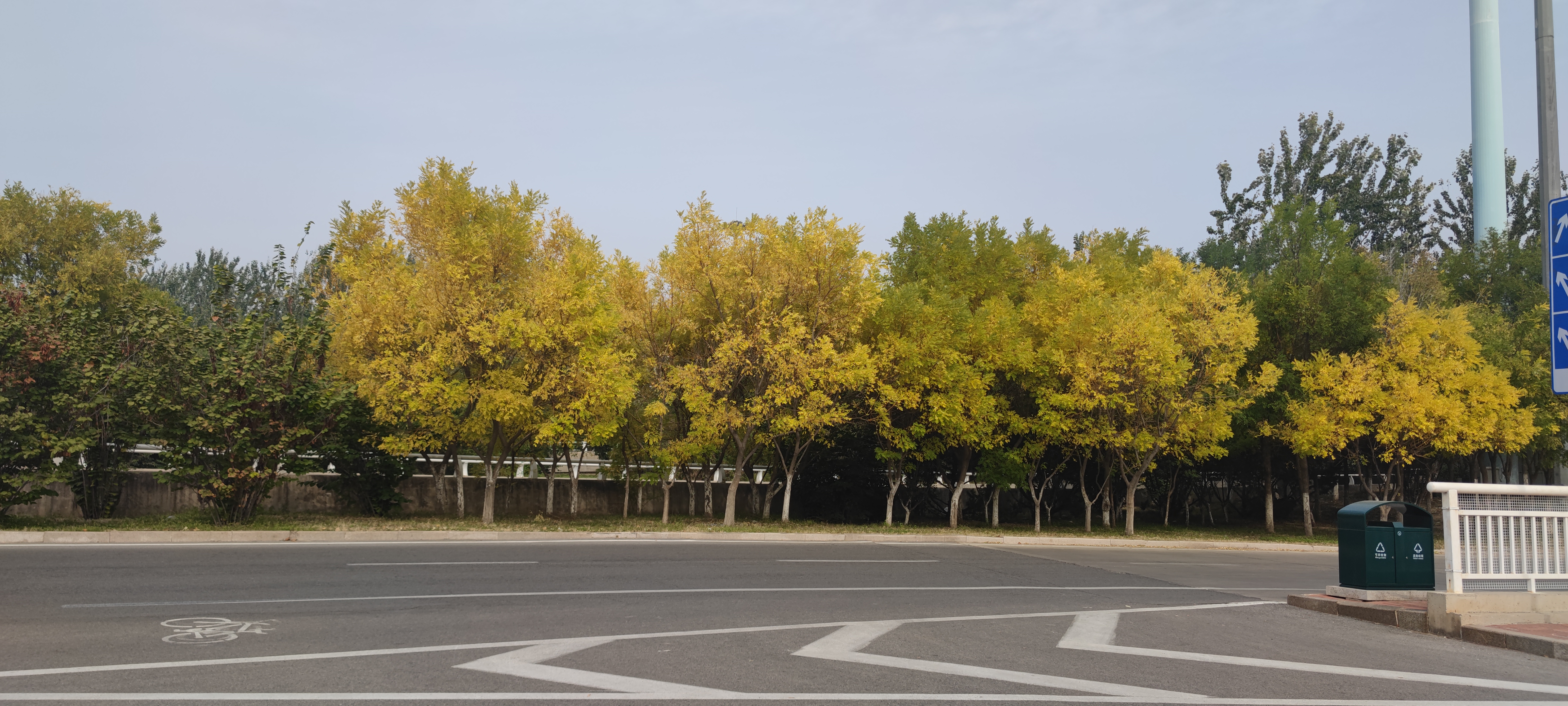 丛丛相亲交友平台