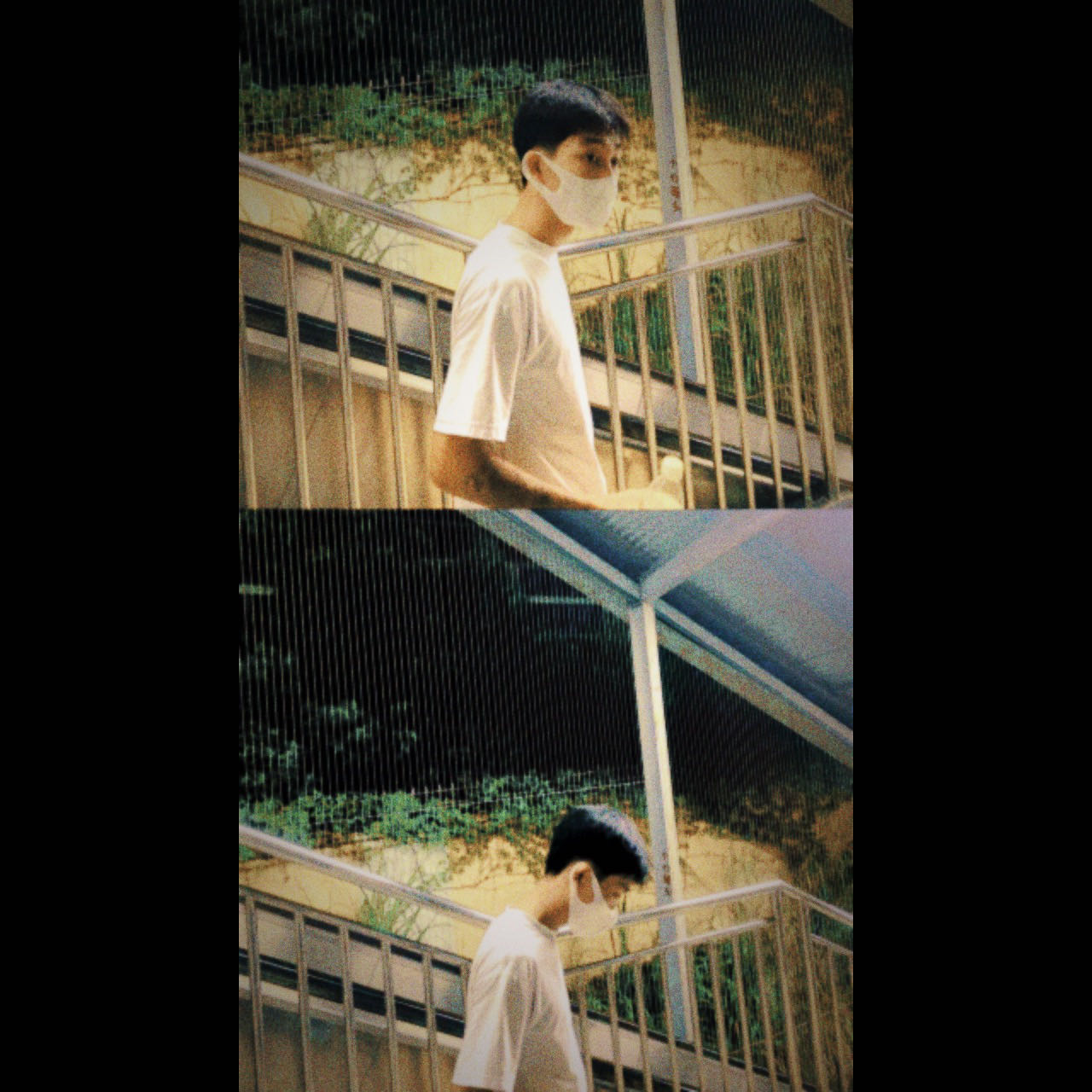 丛丛相亲交友平台