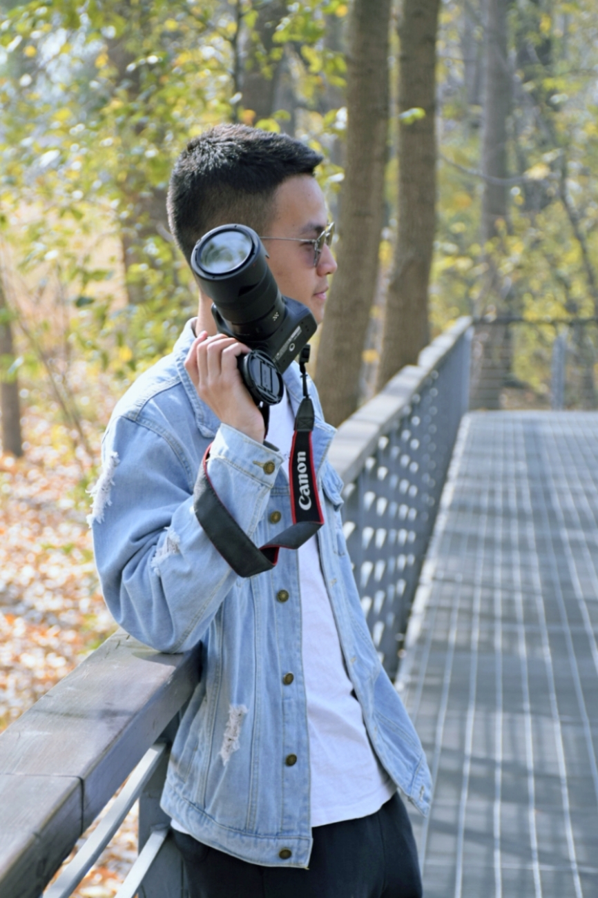 丛丛相亲交友平台