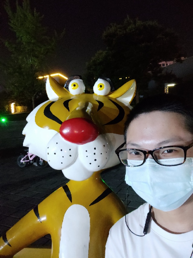 丛丛相亲交友平台