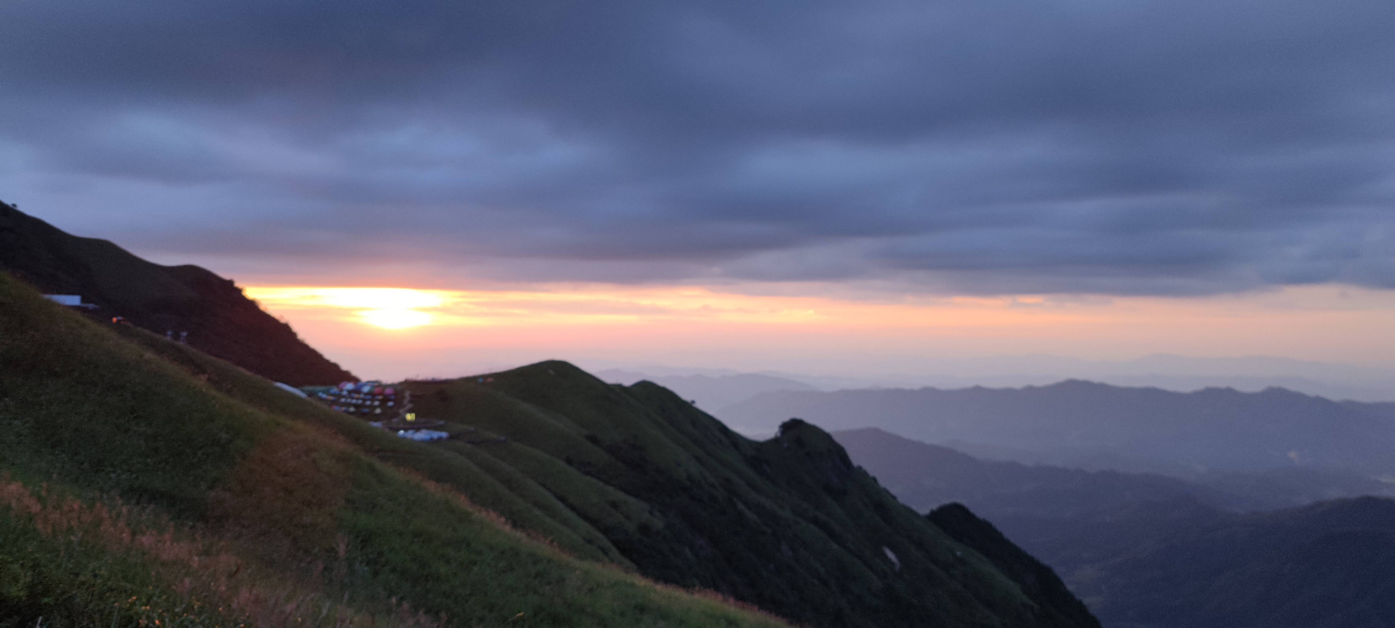 丛丛相亲交友平台