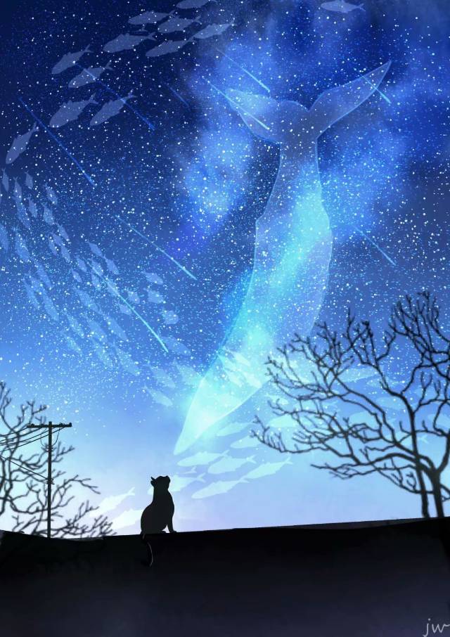 丛丛相亲交友平台