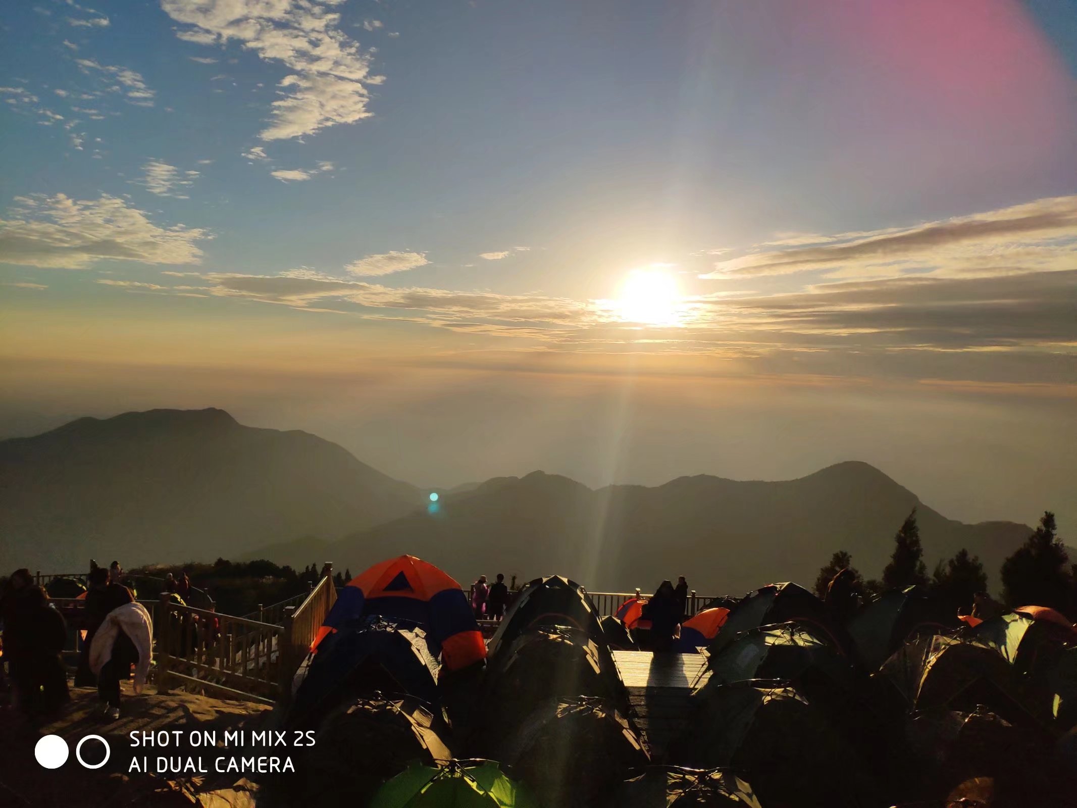 丛丛相亲交友平台