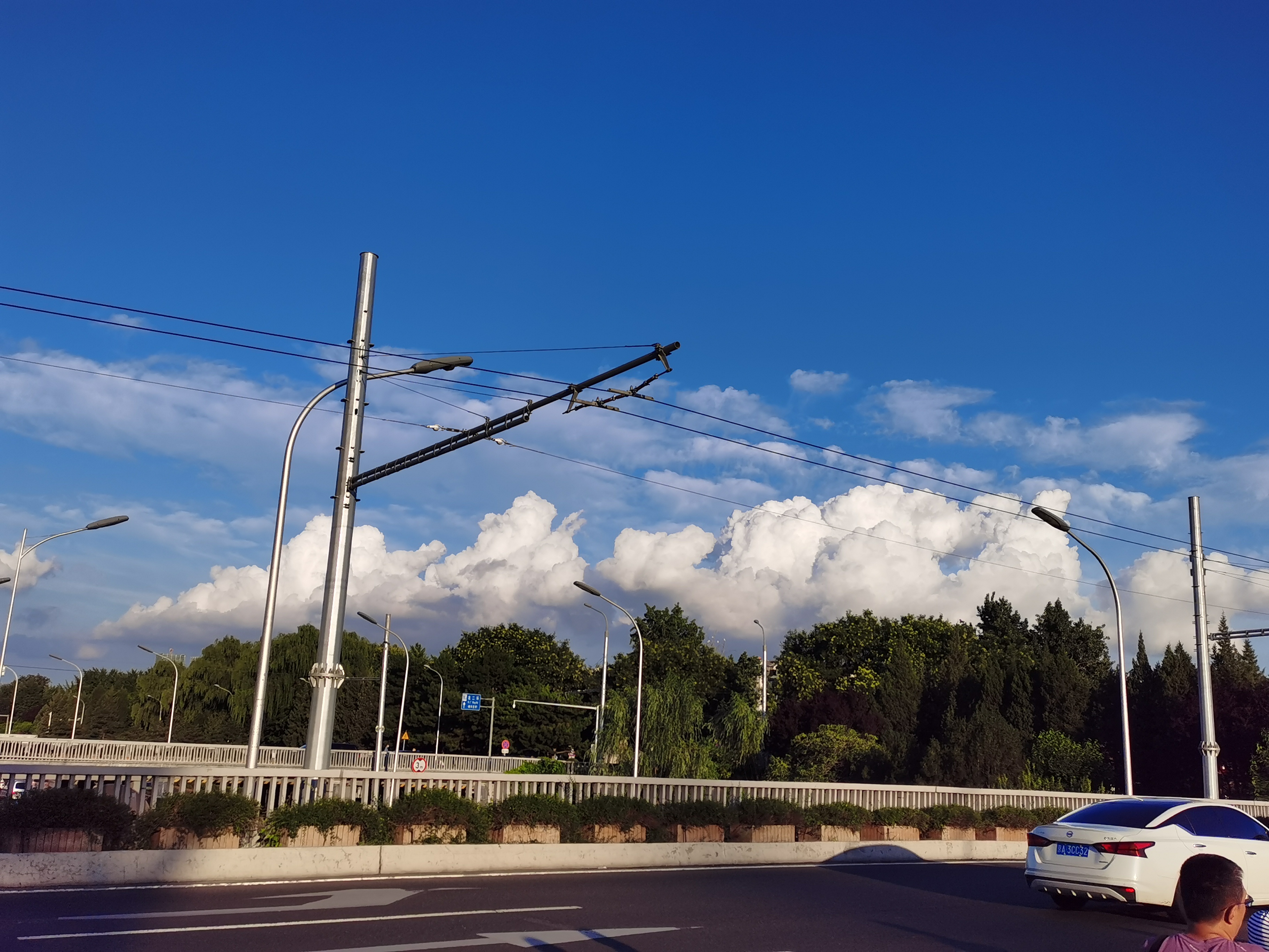 丛丛相亲交友平台