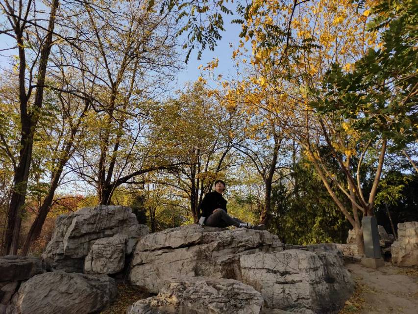 丛丛相亲交友平台