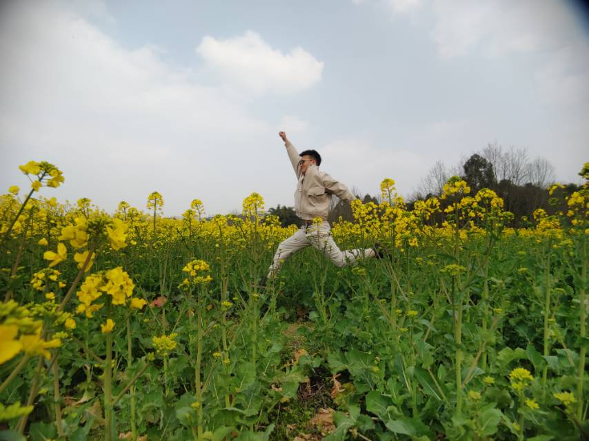 丛丛相亲交友平台