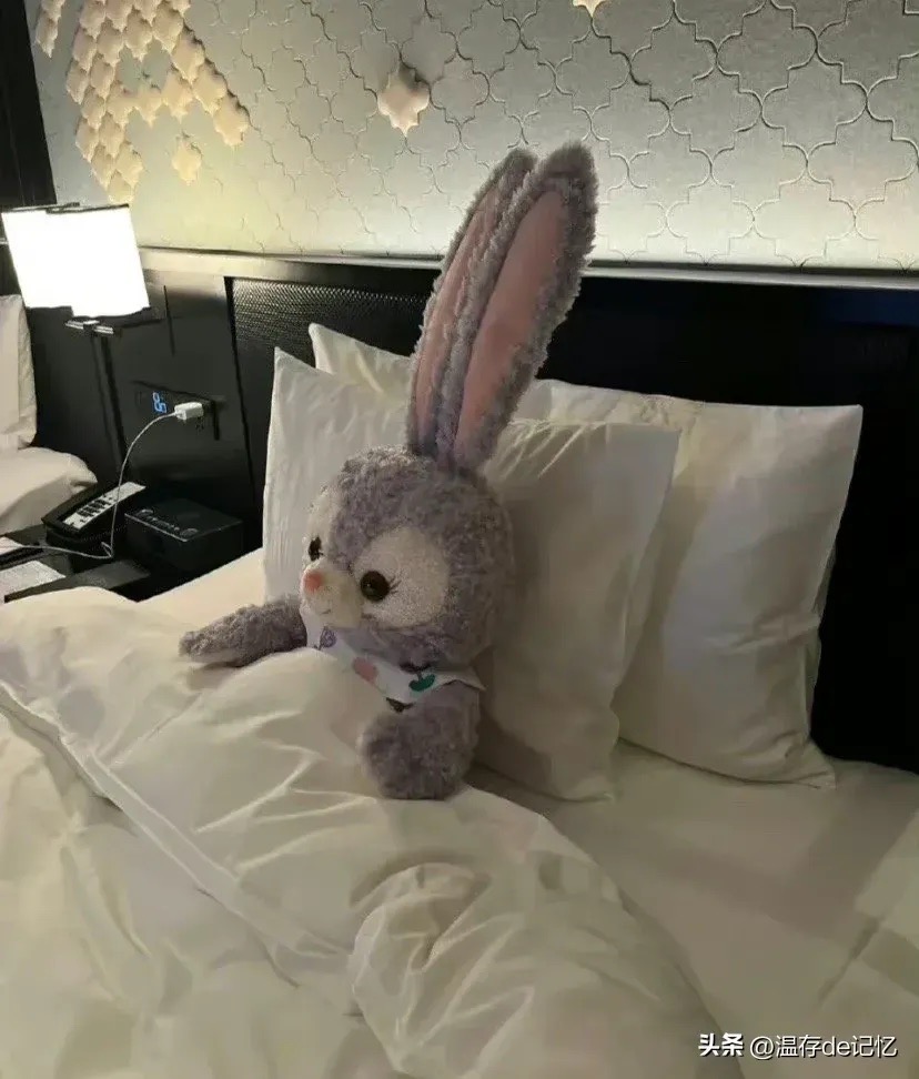 丛丛相亲交友平台