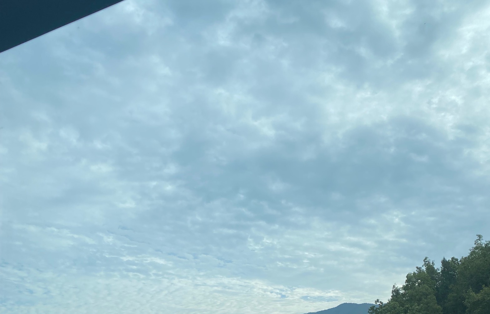 丛丛相亲交友平台