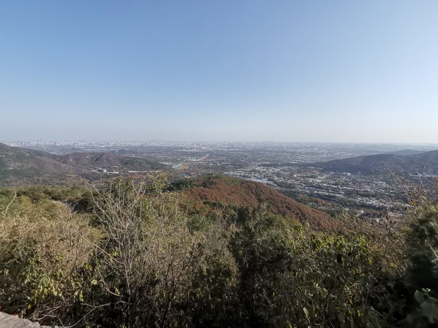 丛丛相亲交友平台