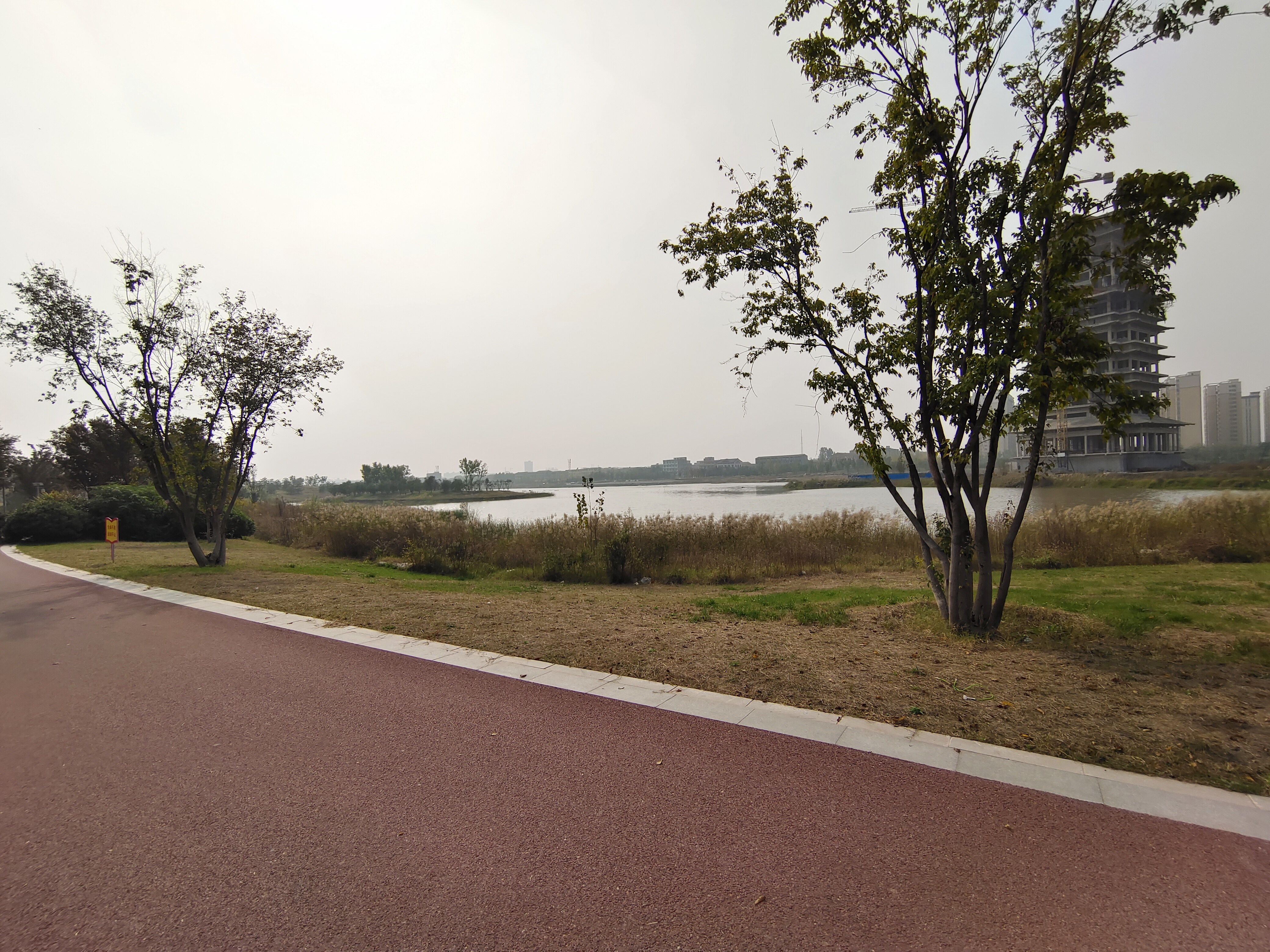 丛丛相亲交友平台