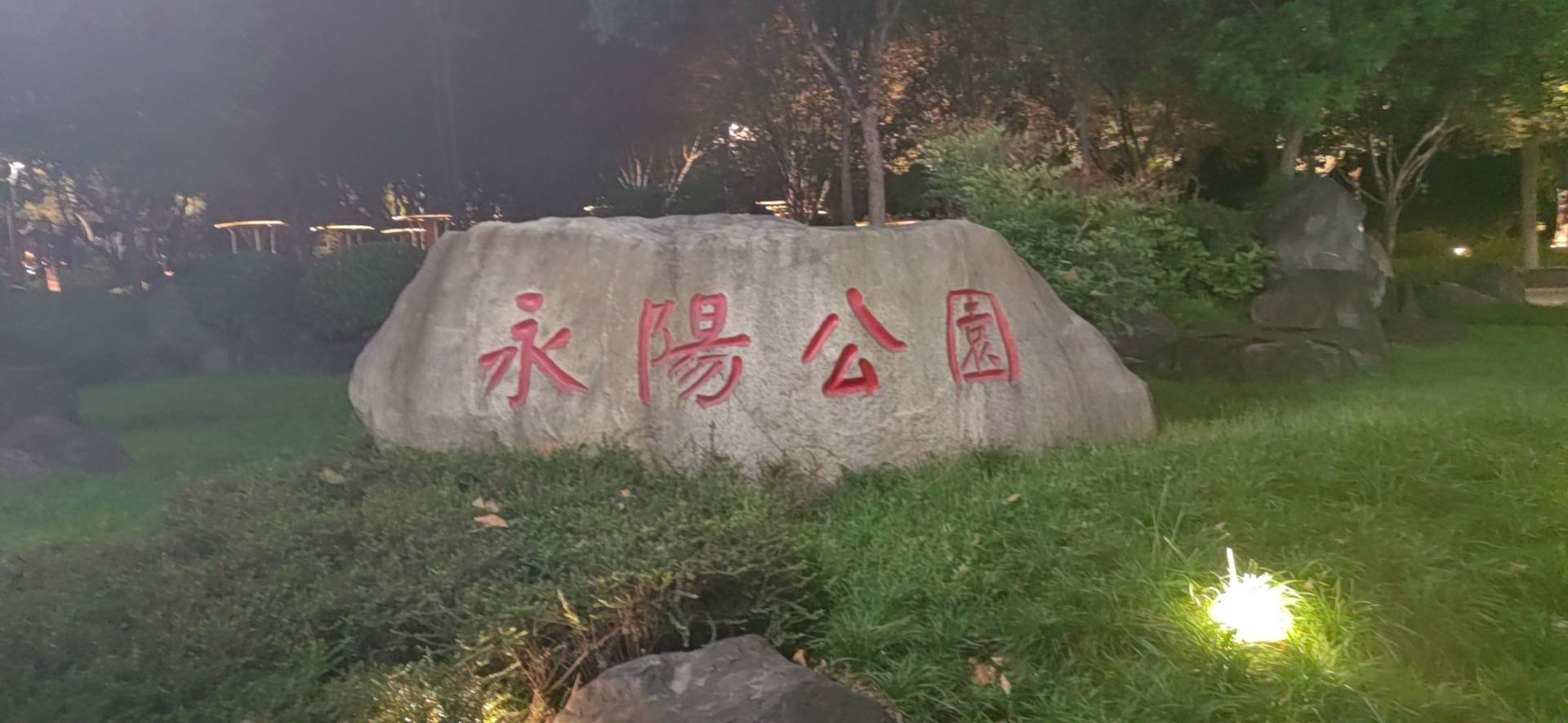 丛丛相亲交友平台